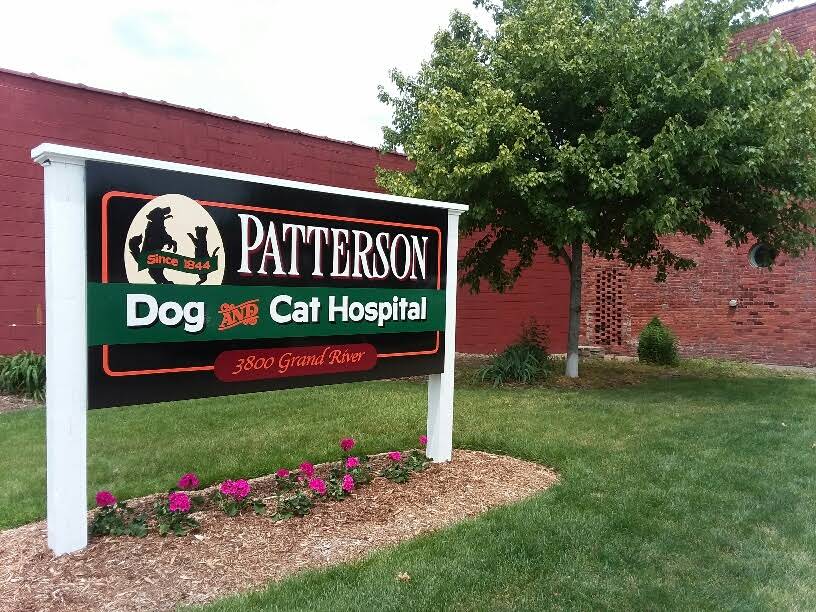 Veterinarian in Detroit, MI